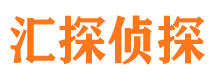 江城市侦探公司